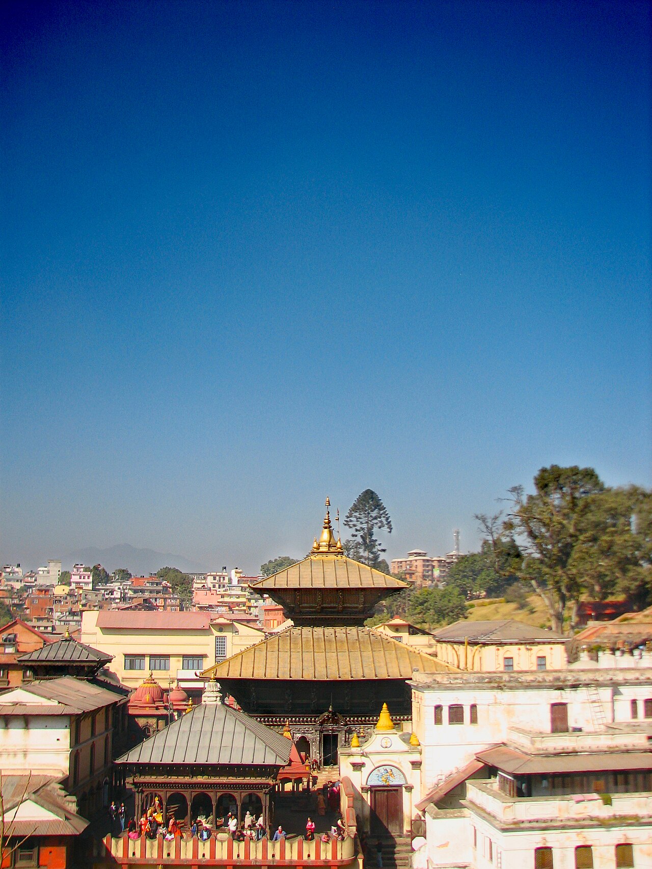 Pashupatinath Temple on the Bagmati River